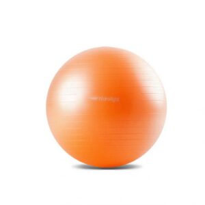 Bola de Exercícios 55cm - Hidrolight